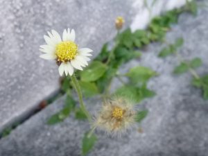 P1010126_small