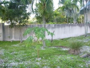 P1010128_small